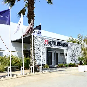 https://hotel-des-arts-resort-spa.hotels-casablanca.net